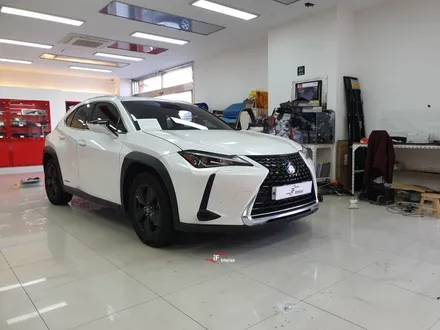 렉서스 UX250 네비게이션 전동트렁크 락폴딩 필요한건 꼭 하세요 / 부산 남구