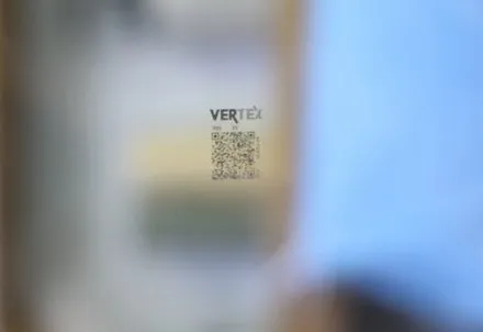 4세대 카니발 루마 버텍스 300 썬팅 시공 / 서울 중랑구 묵동