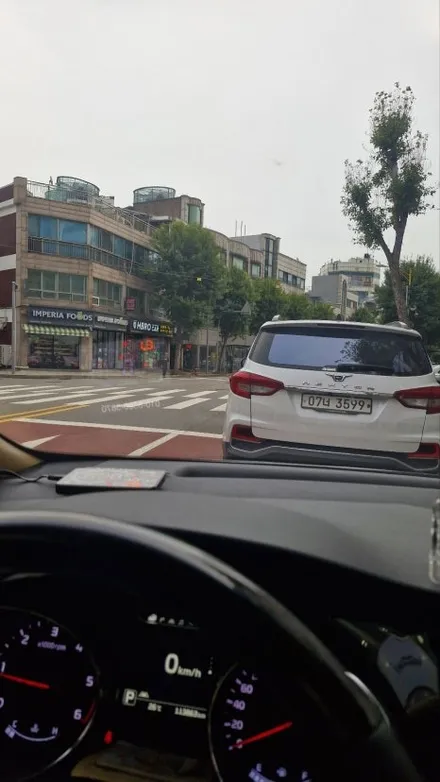 인천 연수동 올 뉴 카니발 글라스틴트 선셋 ,레이노 S9 재시공썬팅