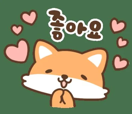그랜저 GN7 (휀다, 안개등 PPF) / 부산 사상구