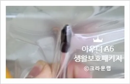 부산 사상 랩핑 PPF 전문 아우디 A6 생활 보호 패키지 5종 시공 신차 출고 / 부산 사상구