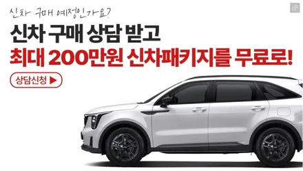기장 썬팅 신차 레이노 F/S 전면 시공 가능한 곳 / 부산 기장군
