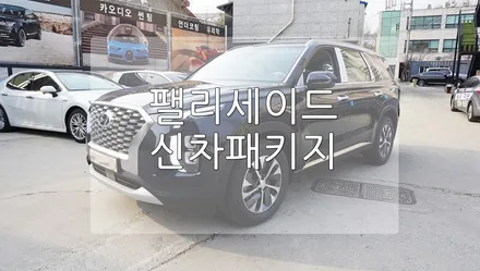 현대 팰리세이드 신차 패키지 / 경기 과천