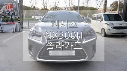 렉서스 NX300H 솔라가드 신차 패키지 / 경기 과천