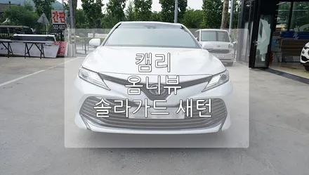 캠리 솔라가드 새턴 옴니뷰 / 경기 과천