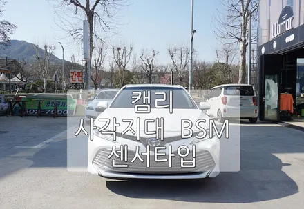 캠리 BSM / 경기 과천