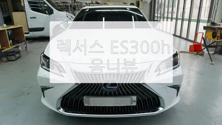 렉서스 ES300h 어라운드 뷰(옴니뷰) / 경기 과천
