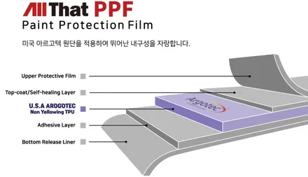 과천 서울 카니발 튜닝 적극적인 도장 보호 팁!! / 경기 과천