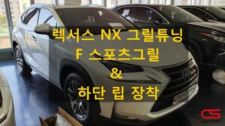 렉서스 NX 그릴튜닝 F 스포츠그릴로 뿜뿜~~ / 경기 구리