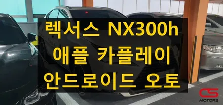 렉서스 NX300h 애플 카플레이 / 안드로이드오토 장착하고 신나게 고고씽~~ / 경기 구리