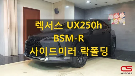 렉서스 UX250h 사각지대감지모니터 BSM-R 및 사이드미러 락폴딩 시공 장착! / 경기 구리