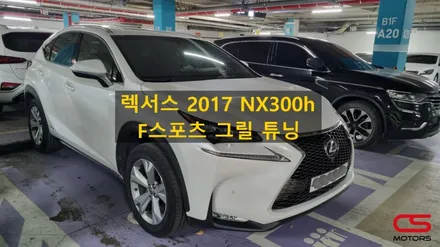 렉서스 NX300h 그릴튜닝! NX F스포츠 그릴 튜닝하고 멋짐 뿜뿜! / 경기 구리