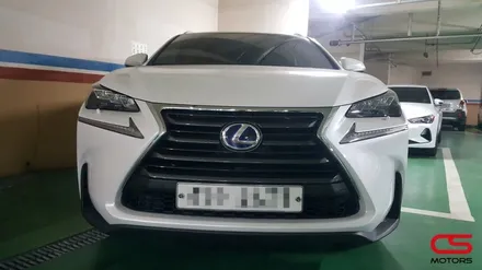 렉서스 NX300h 그릴튜닝 F 스포츠그릴 장착하고 더욱 멋진 전면을 완성합니다. / 경기 구리