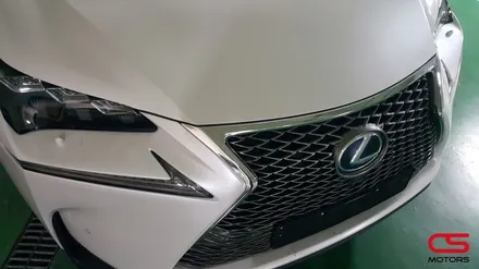 렉서스 NX300h 그릴튜닝 F 스포츠그릴 장착하고 더욱 멋진 전면을 완성합니다. / 경기 구리