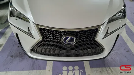 렉서스 NX300h 그릴튜닝! NX F스포츠 그릴 튜닝하고 멋짐 뿜뿜! / 경기 구리