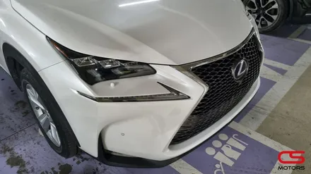 렉서스 NX300h 그릴튜닝! NX F스포츠 그릴 튜닝하고 멋짐 뿜뿜! / 경기 구리