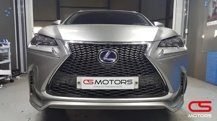 그릴튜닝의 완성 렉서스 NX300H F스포츠그릴 교체했어요~구리 남양주 렉서스 스포츠그릴 교체 전문 구리CS모터스 / 경기 구리