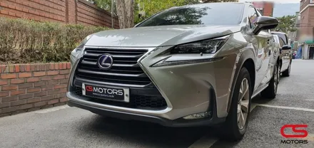 렉서스 NX300h TPMS 수치 활성화 작업으로 안전하게~ F 스포츠그릴 장착으로 폼나게~~ / 경기 구리