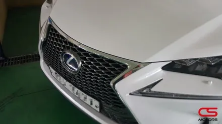 렉서스 NX300h 그릴튜닝 F 스포츠그릴 장착하고 더욱 멋진 전면을 완성합니다. / 경기 구리