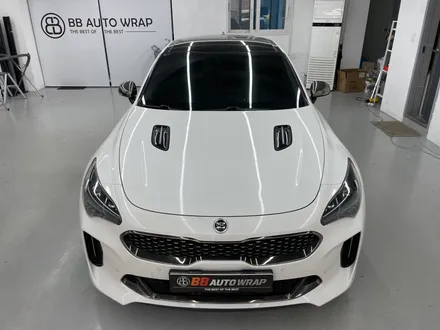 화성랩핑 스팅어 루프스킨 유효기간 지키지 않으면 이렇게 됩니다 / 화성,수원,오산