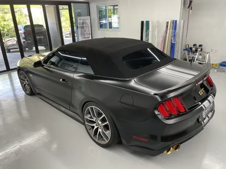 화성랩핑 머스탱GT 전체랩핑+바이퍼라인시공 / 화성,수원,오산