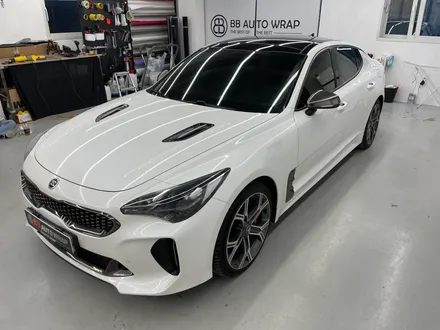 화성랩핑 스팅어 루프스킨 유효기간 지키지 않으면 이렇게 됩니다 / 화성,수원,오산