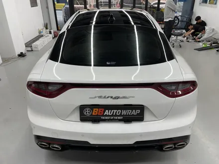 화성랩핑 스팅어 루프스킨 유효기간 지키지 않으면 이렇게 됩니다 / 화성,수원,오산