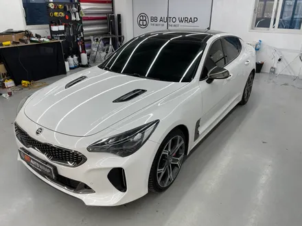 화성랩핑 스팅어 루프스킨 유효기간 지키지 않으면 이렇게 됩니다 / 화성,수원,오산