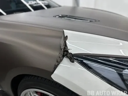 자동차랩핑 스팅어 오토 벨벳 GT실버 전체랩핑 / 화성시 향남읍 상신리