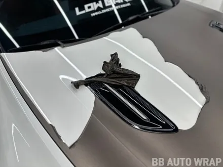 자동차랩핑 스팅어 오토 벨벳 GT실버 전체랩핑 / 화성시 향남읍 상신리