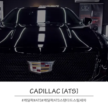 캐딜락ATS 벌레와의 전쟁 디테일링 후기 #디테일링 #부산실내복원 #기장디테일링 #부산디테일링 / 부산 기장경기 광주시 문형동