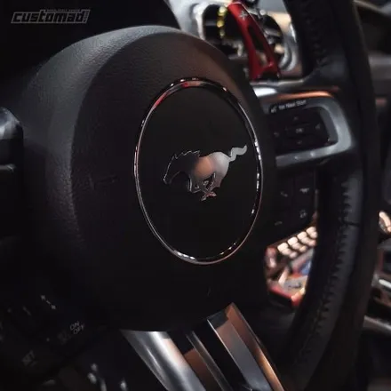 포드 머스탱 컬러안전벨트 시공 [Ford Mustang 컬러벨트 _커스텀매드] #커스텀벨트 #벨트색상 #안전벨트튜닝 #서울경기자동차튜닝샵 #벨트교체 #업체추천 / 부산 기장경기 광주시 문형동