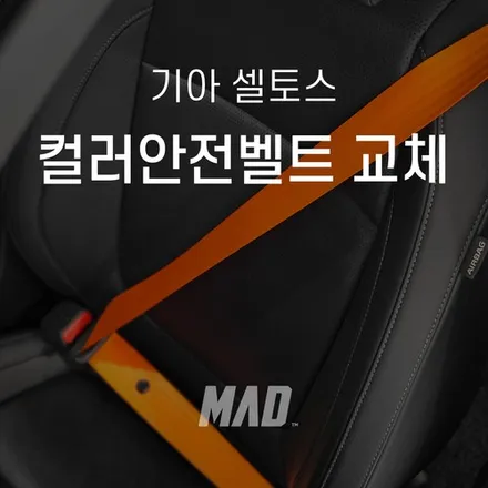 디자이너 만족시키기 [기아 셀토스 오렌지 컬러안전벨트 교체 시공 _ 서울.경기 수도권] / 부산 기장경기 광주시 문형동