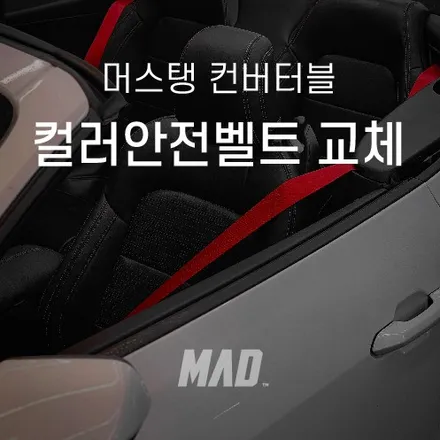 머스탱에도 옵션넣기 쌉가능 (+커스텀매드 확장이전소식) [7세대 머스탱 컨버터블 컬러안전벨트 교체 시공 _ 서울.경기] / 부산 기장경기 광주시 문형동