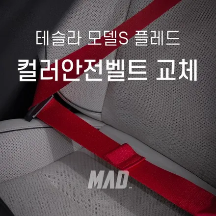 테슬라 컬러안전벨트, 여기서는 다 가능합니다 [테슬라 모델S 플레드 안전벨트 교체 _ 커스텀매드 서울.경기 수도권] / 부산 기장경기 광주시 문형동