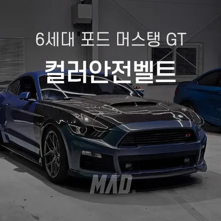 [수원.용인 | 자동차 실내 커스텀 전문점] 6세대 포드 머스탱 GT 컬러 안전벨트 교체 튜닝! 가격 비용보다 안전이 가장 우선 / 부산 기장경기 광주시 문형동