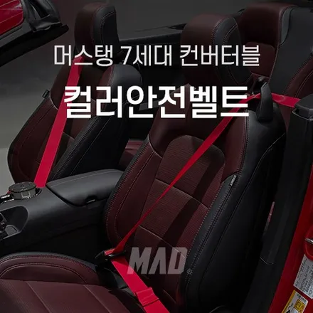 안전벨트 색상 교체해도 기능에 문제 없을까? 포드 머스탱 7세대 시공 / 부산 기장경기 광주시 문형동