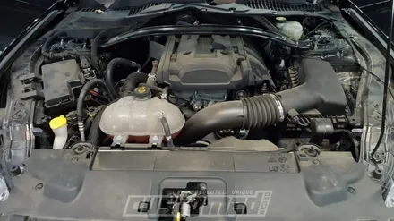 [Ford Mustang] 포드 머스탱 신차상태로 복원하기 #부산광택 #칠날림 #도장불량 #도색불량 #흠집제거 / 부산 기장경기 광주시 문형동