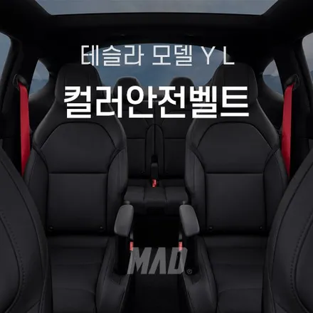 테슬라 모델 Y L 안전벨트 색상 교체 가격 이상의 만족감을 만드는 레드 포인트 튜닝 / 부산 기장경기 광주시 문형동