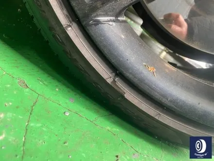 포르쉐 타이칸 GTS 심하게 손상된 휠 상처 수리 후, 정품 제트 블랙 메탈릭 컬러 복원 도색 + 타이어 코드 절상 신품 타이어 교체 작업까지_! / 용인 처인구