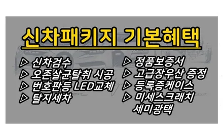 ● 신차검수와 신차패키지 시공을 한번에 !! (feat. 투싼F/L) / 의정부시 낙양동