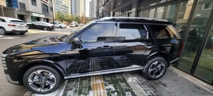[팰리세이드]루마 버텍스900 의정부 카스페이스 신차패키지 / 의정부시 낙양동
