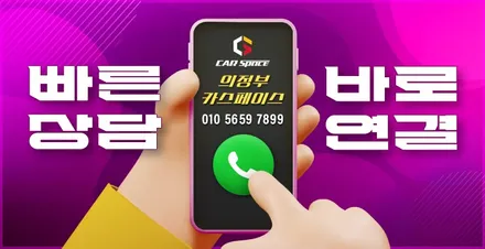 팰리세이드 브이쿨kEV 의정부 신차패키지 전면30%측후면5% / 의정부시 낙양동