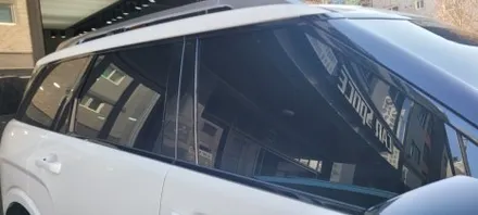 팰리세이드 버텍스 1100 신차패키지 30%5% 조합으로 완성 / 의정부시 낙양동