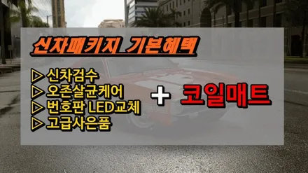 ● 쏘렌토 신차검수 ● / 의정부시 낙양동