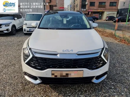 기아NQ5 스포티지 안양 신차검수 썬팅 PPF 코일매트 작업 후기