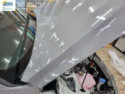 [CN7아반떼 N] 군포썬팅 신차검수부터 블랙박스 ppf 작업 현장