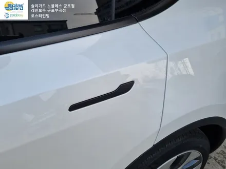 [테슬라 모델Y] 안양 군포의왕 테슬라 차량 썬팅, PPF보호필름 전문시공가능