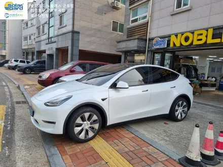 [테슬라 모델Y] 안양 군포의왕 테슬라 차량 썬팅, PPF보호필름 전문시공가능