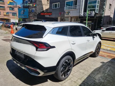 NQ5 스포티지 신차검수 무료서비스 PPF 보호필름 로스터틴팅 군포점 시공